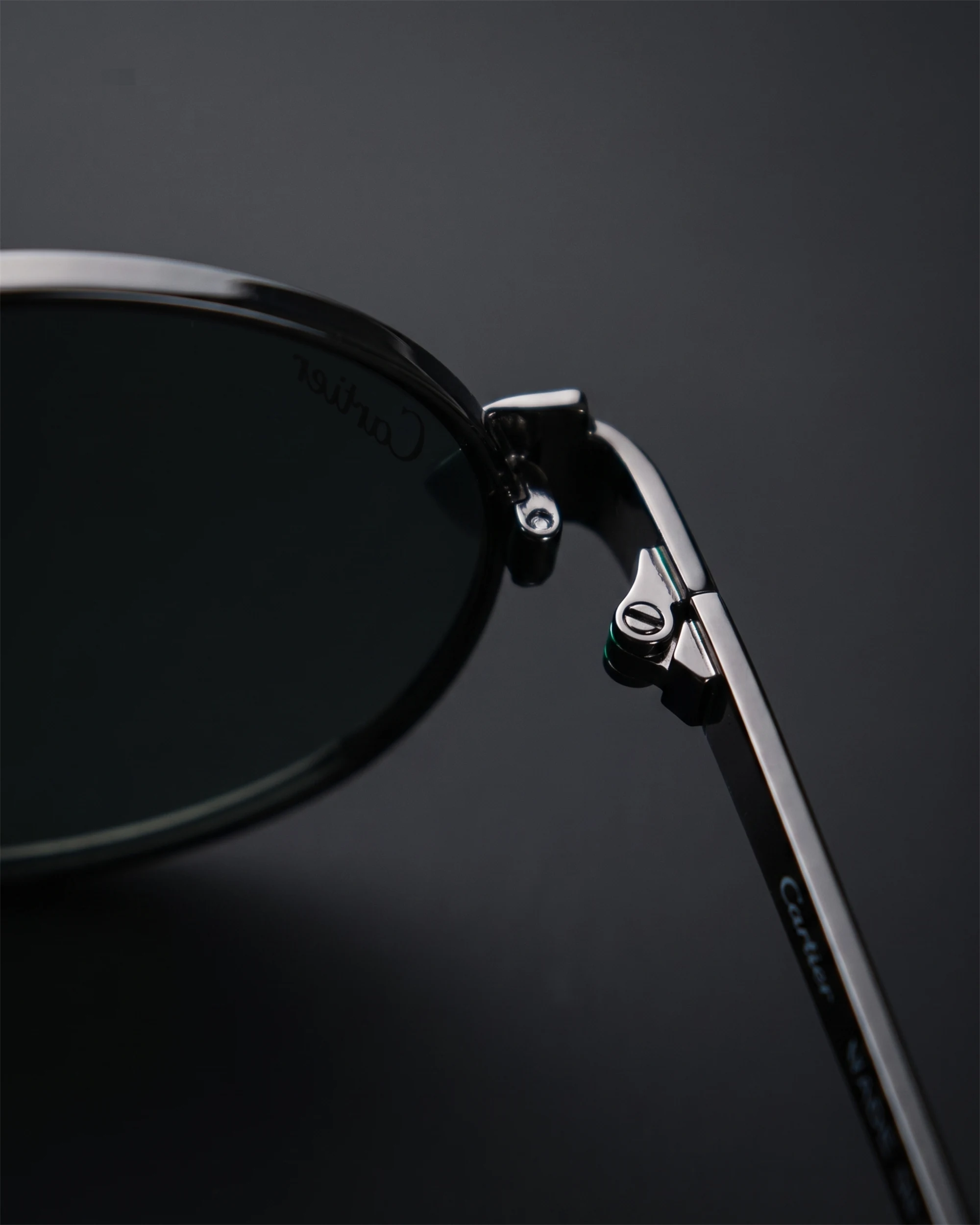 CT0640S Sunglasses Black / Silver / Green Hinge Profile