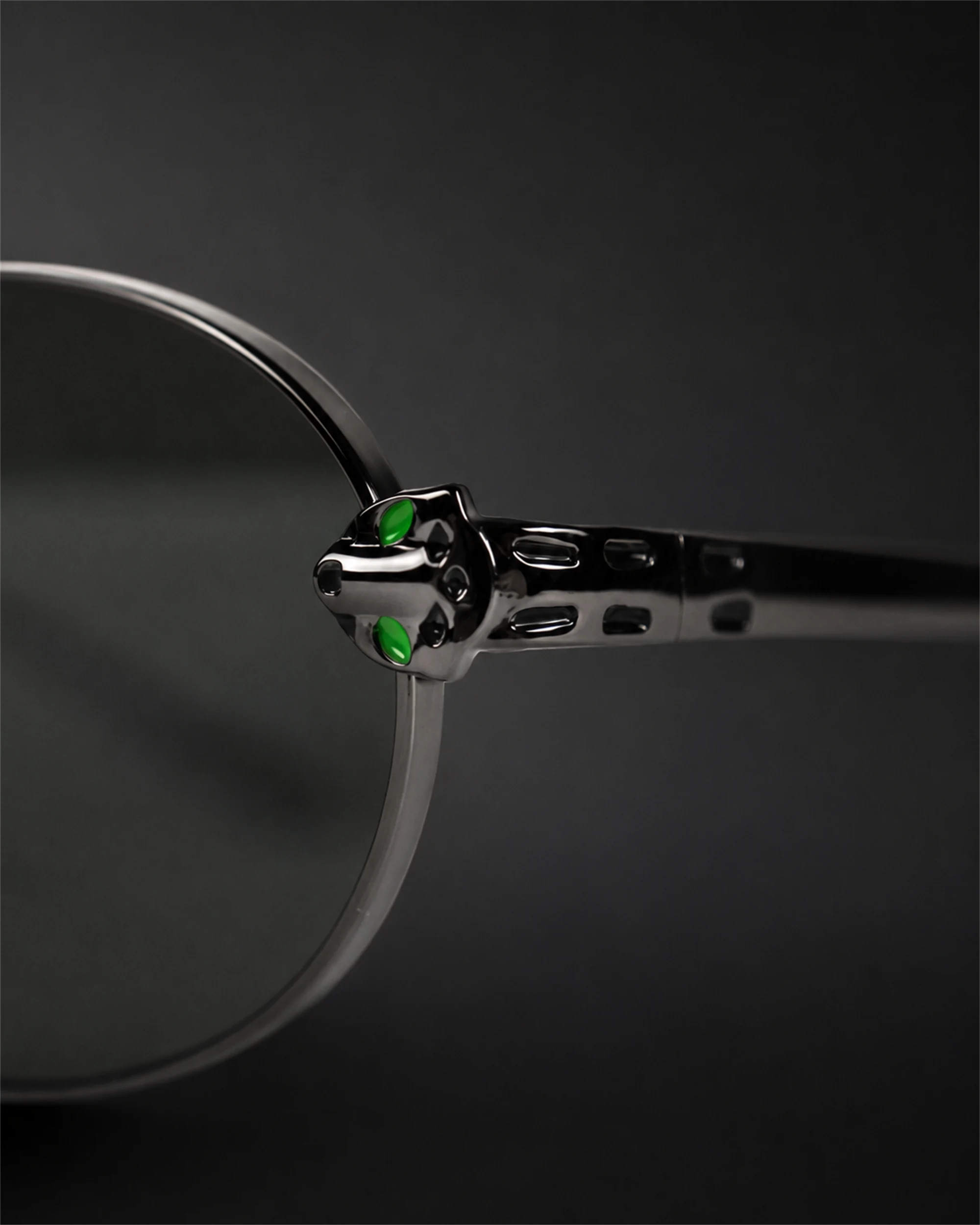 CT0640S Sunglasses Black / Silver / Green Temple Finish