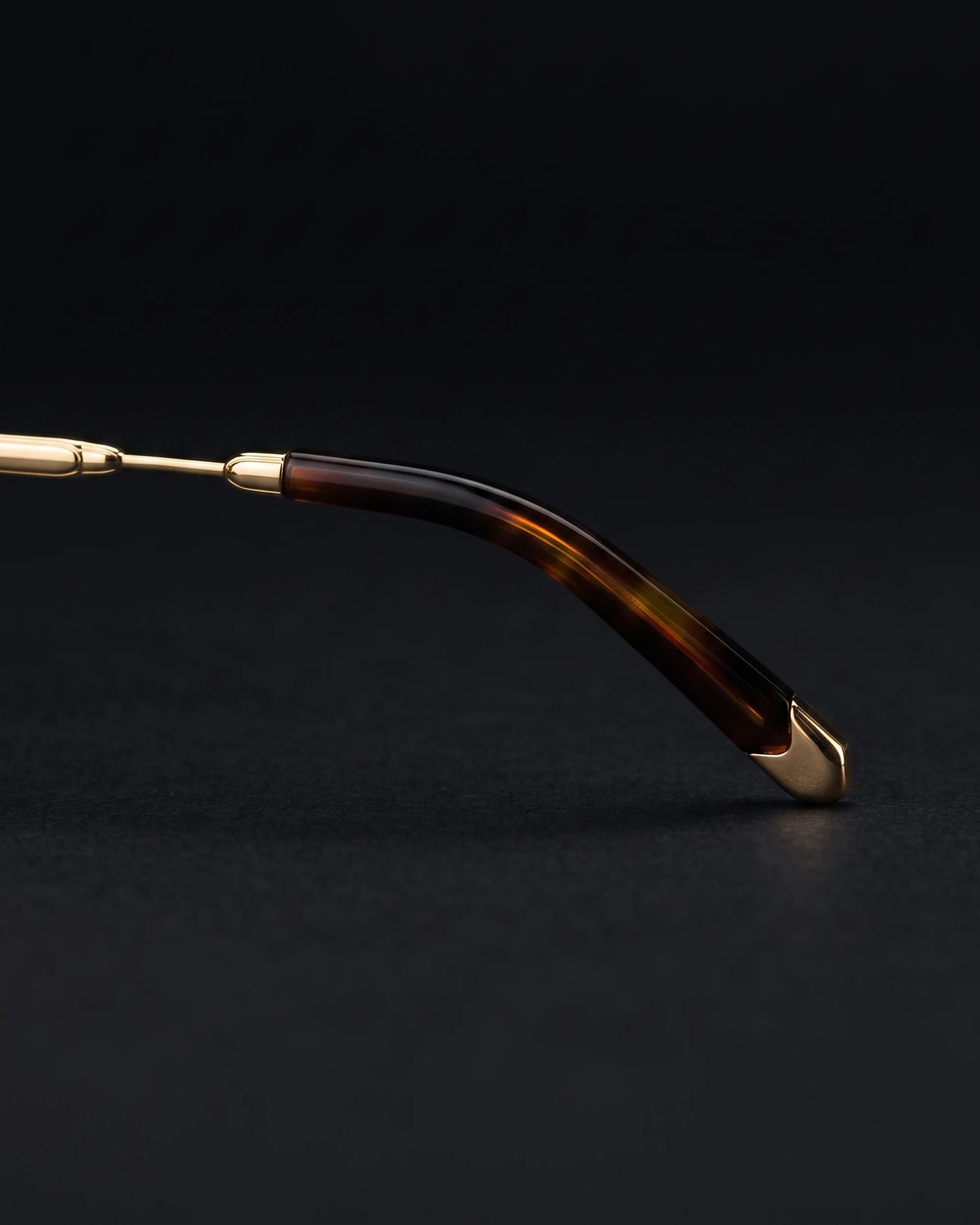 PA-FE-Z57 Sunglasses Gold / Green Temple Tip